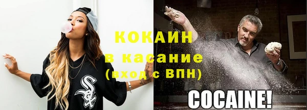 эйфоретик Бородино