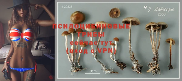 амф Бугульма