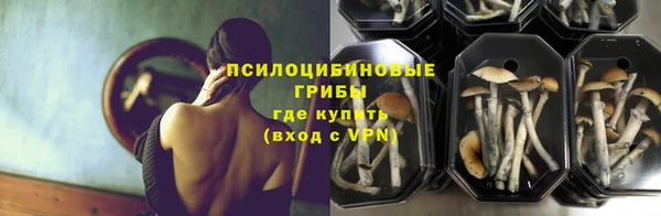 эйфоретик Бородино