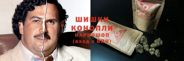 эйфоретик Бородино
