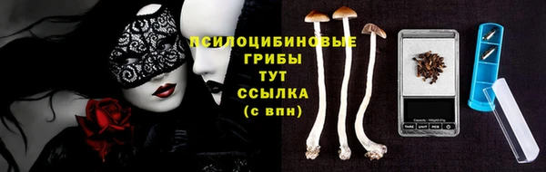 эйфоретик Бородино