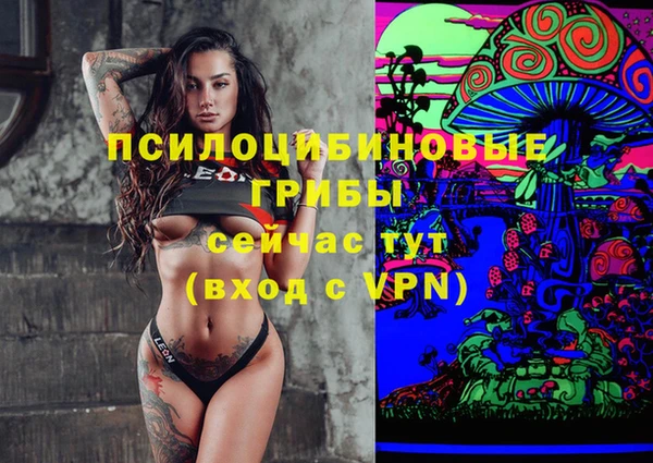 эйфоретик Бородино