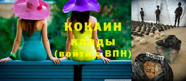 эйфоретик Бородино
