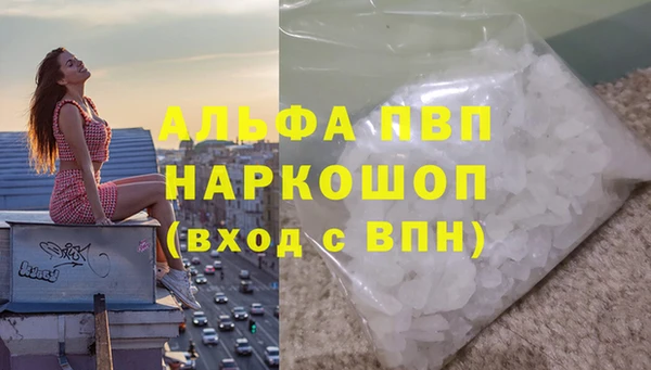 эйфоретик Бородино