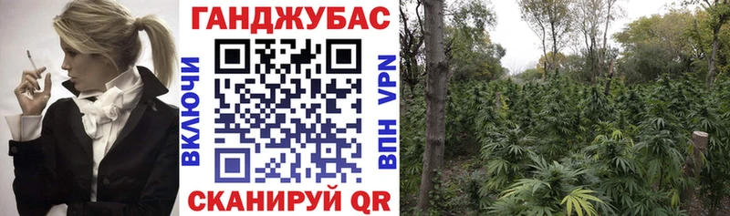 сколько стоит  Приволжский  Конопля VHQ 